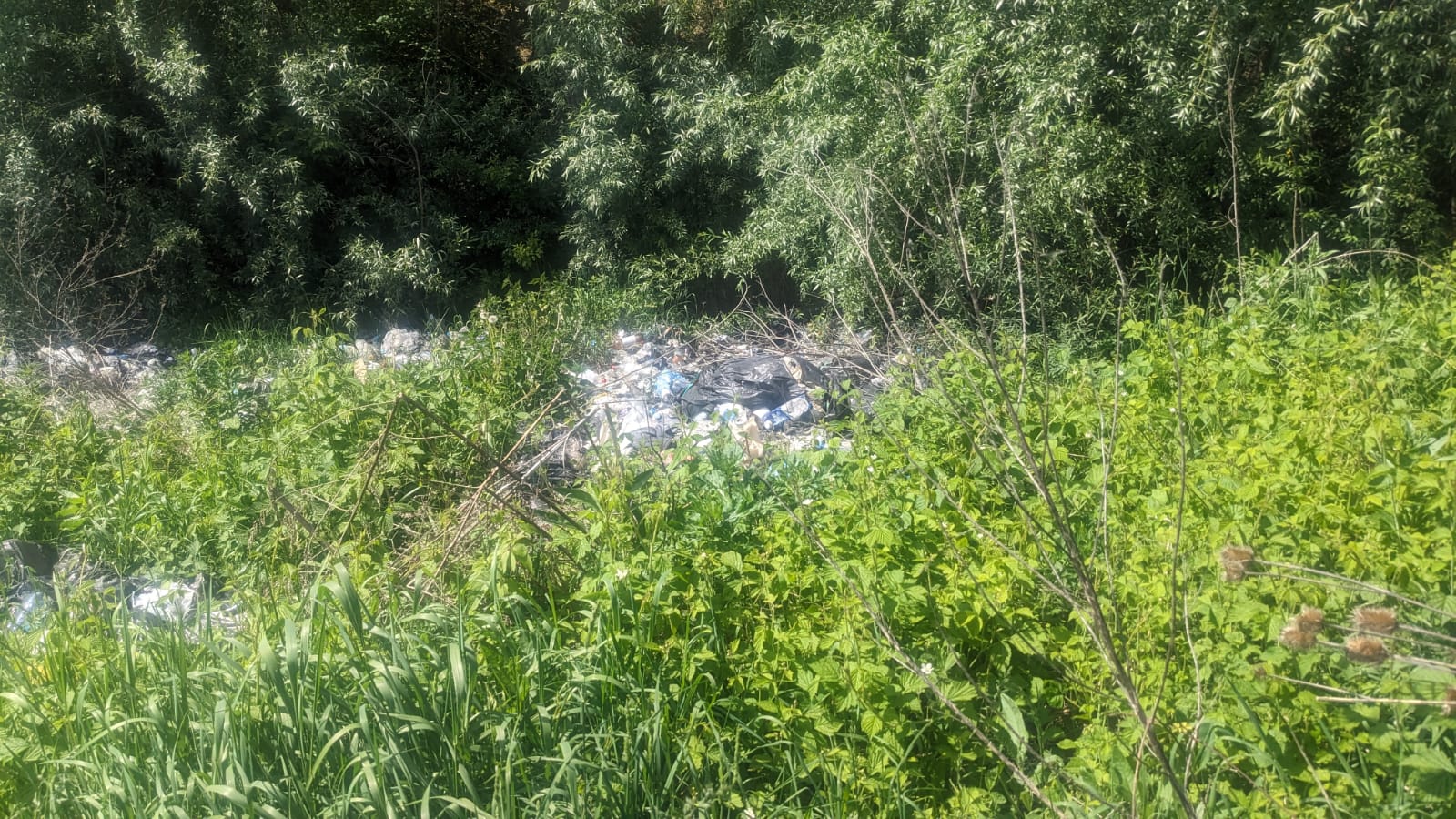 На Прикарпатті виявили більше 40 незаконних сміттєзвалищ