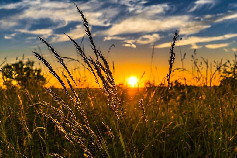 Цьогорічне літо на Прикарпатті було найтеплішим за увесь час спостережень