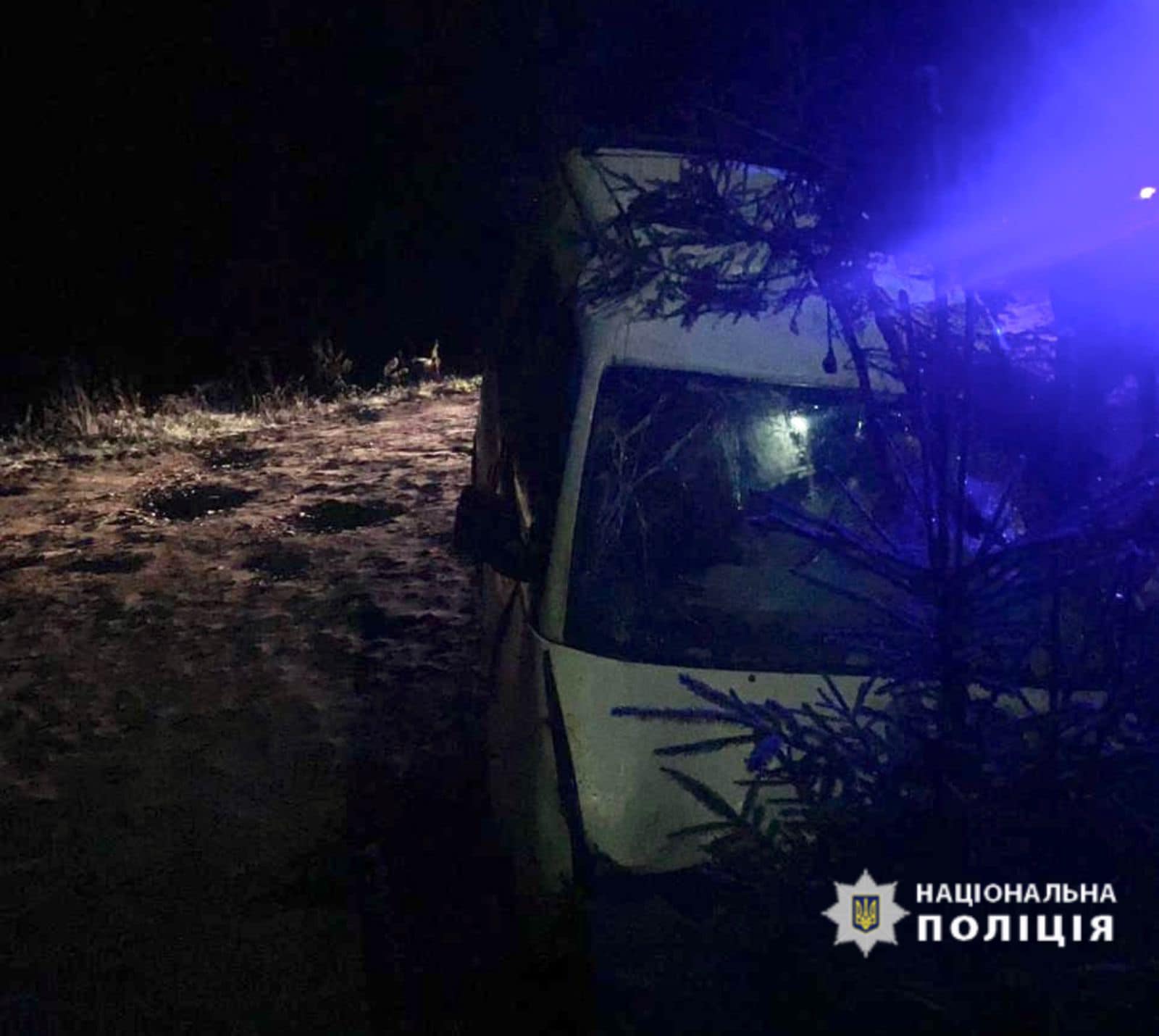 У Вишкові автомобіль перекинувся кілька разів — 20-річний водій загинув на місці (Фото)