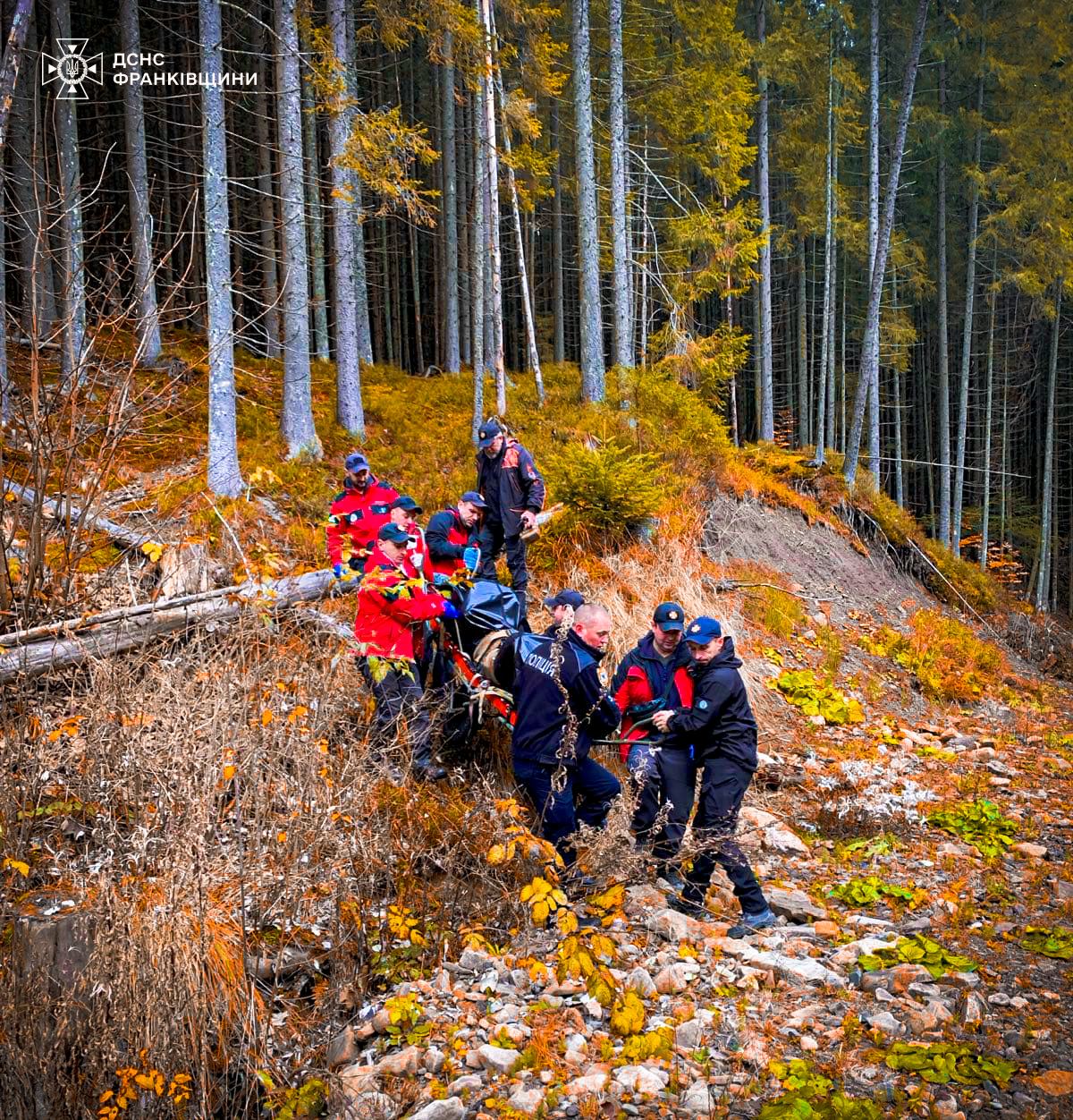 У лісі на Прикарпатті рятувальники знайшли тіло грибника (Фото)