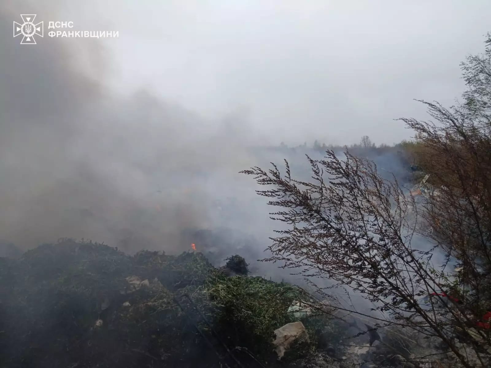 У Брошневі-Осаді три години гасили сміттєзвалище (Фотофакт)