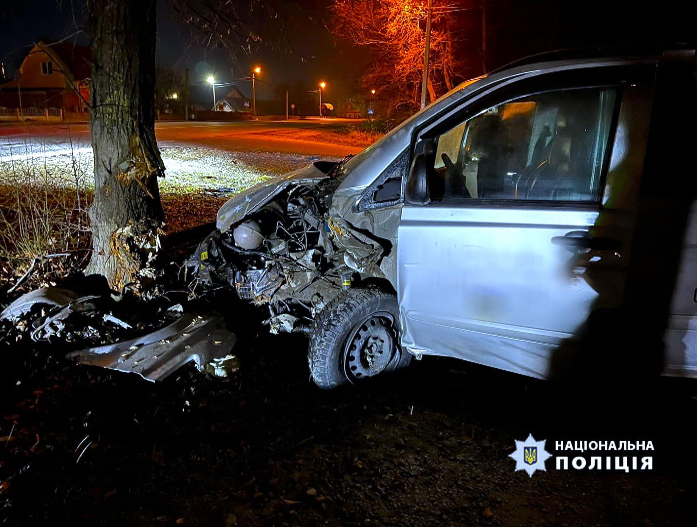 На Прикарпатті автомобіль врізався у дерево — постраждали двоє пасажирів (Фото)